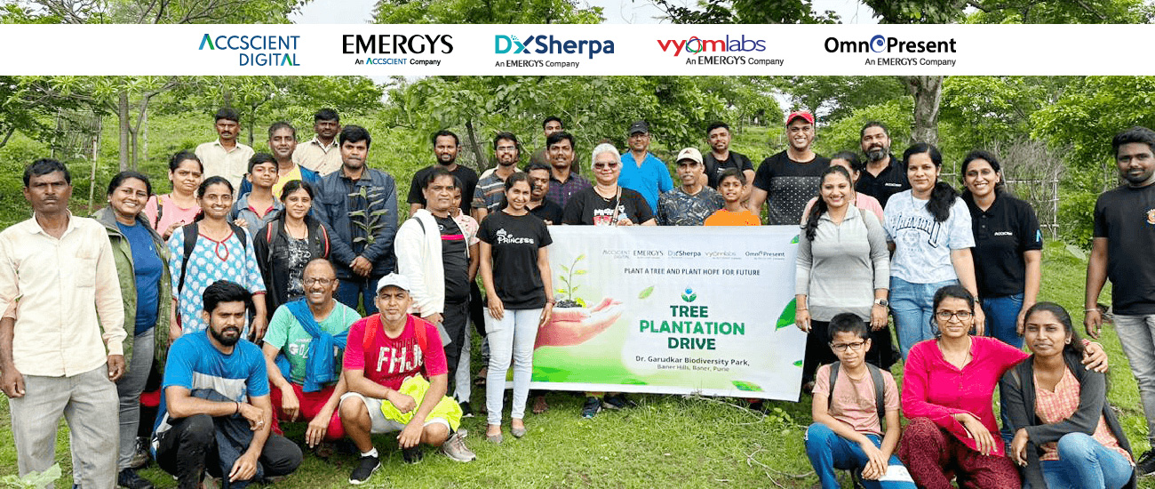 Team Work in Tree Plantation Drive